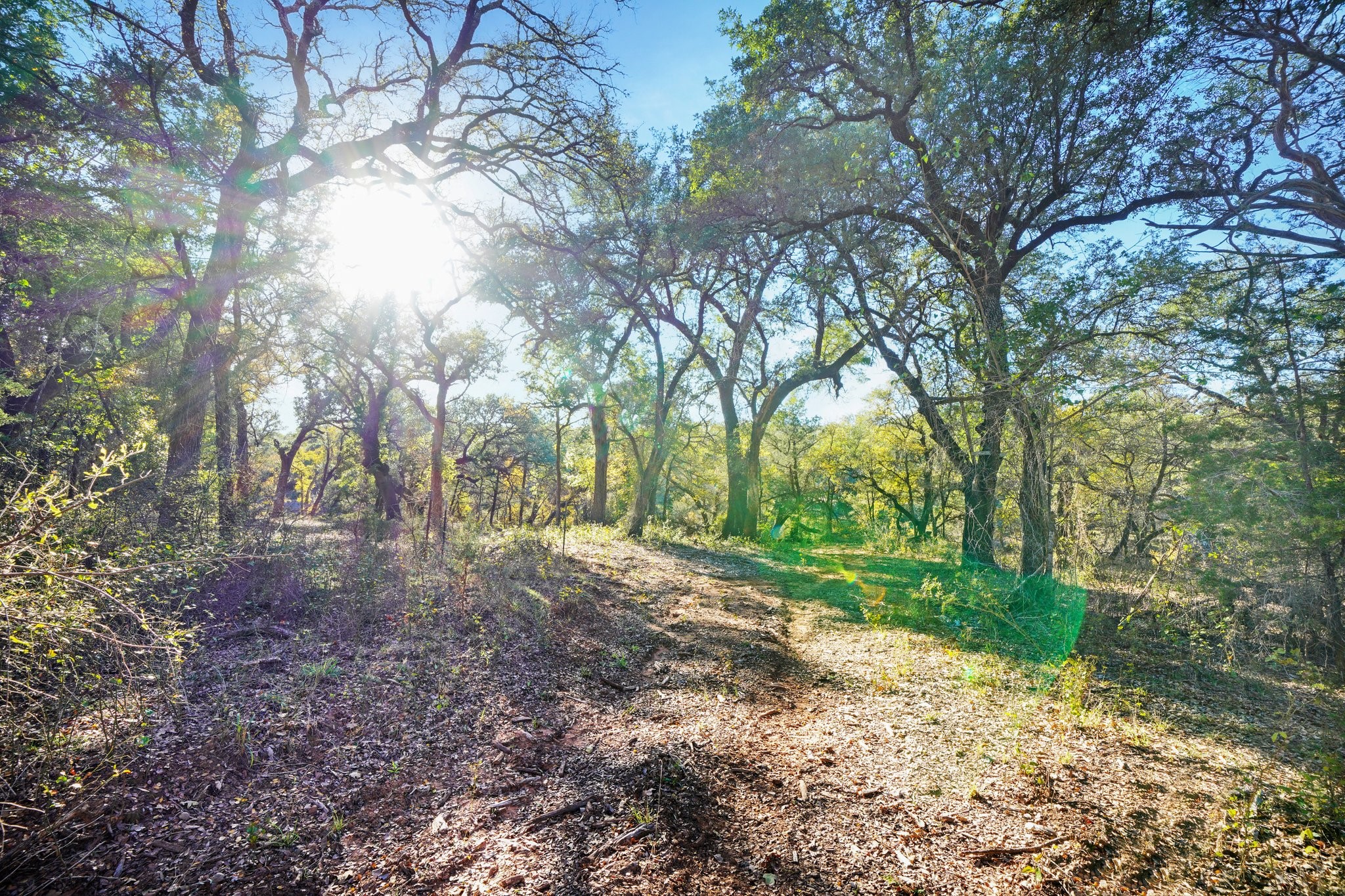 3061 Canyon Ranch Road Palo Pinto TX 76484
