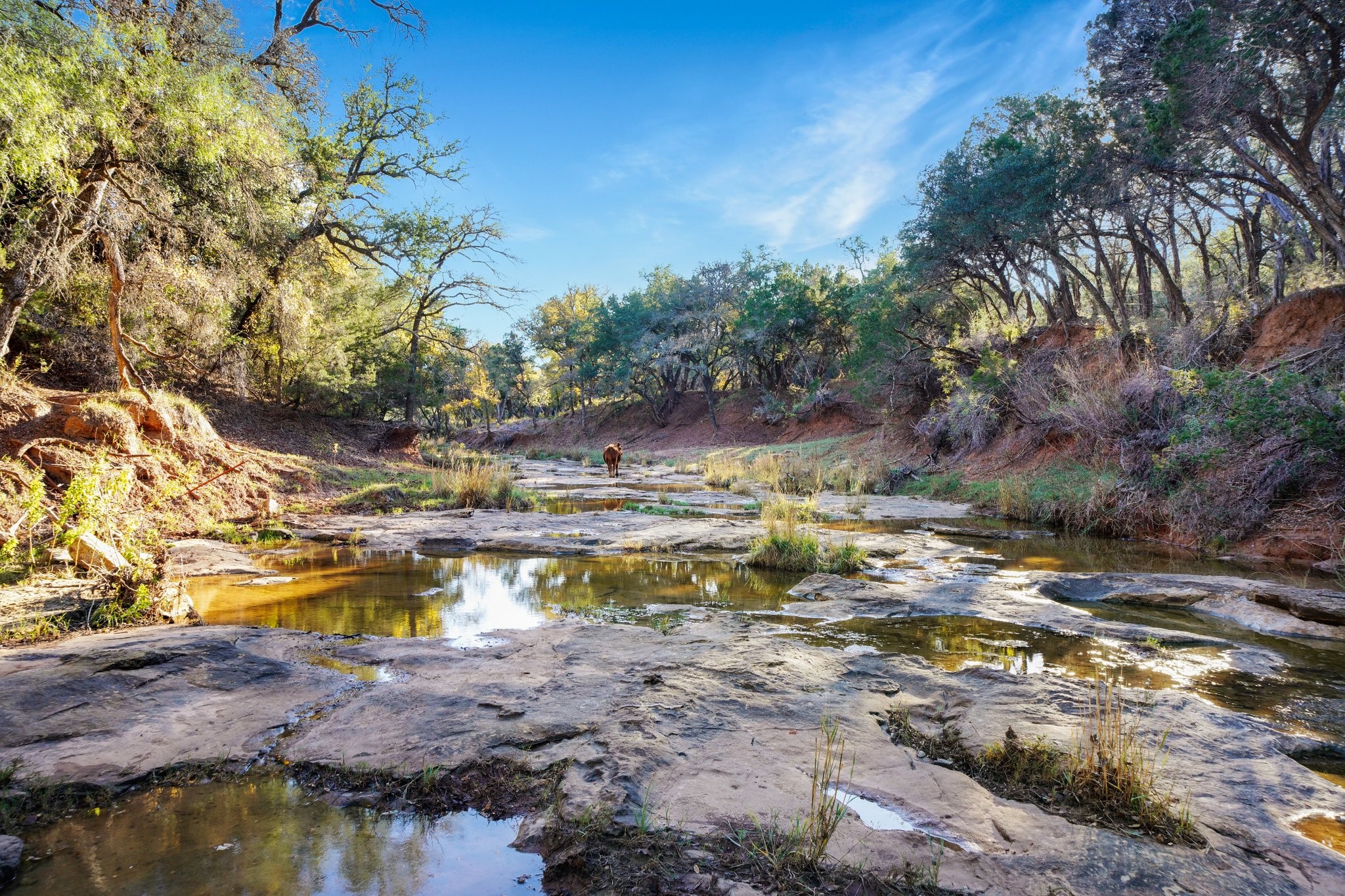 3061 Canyon Ranch Road Palo Pinto TX 76484