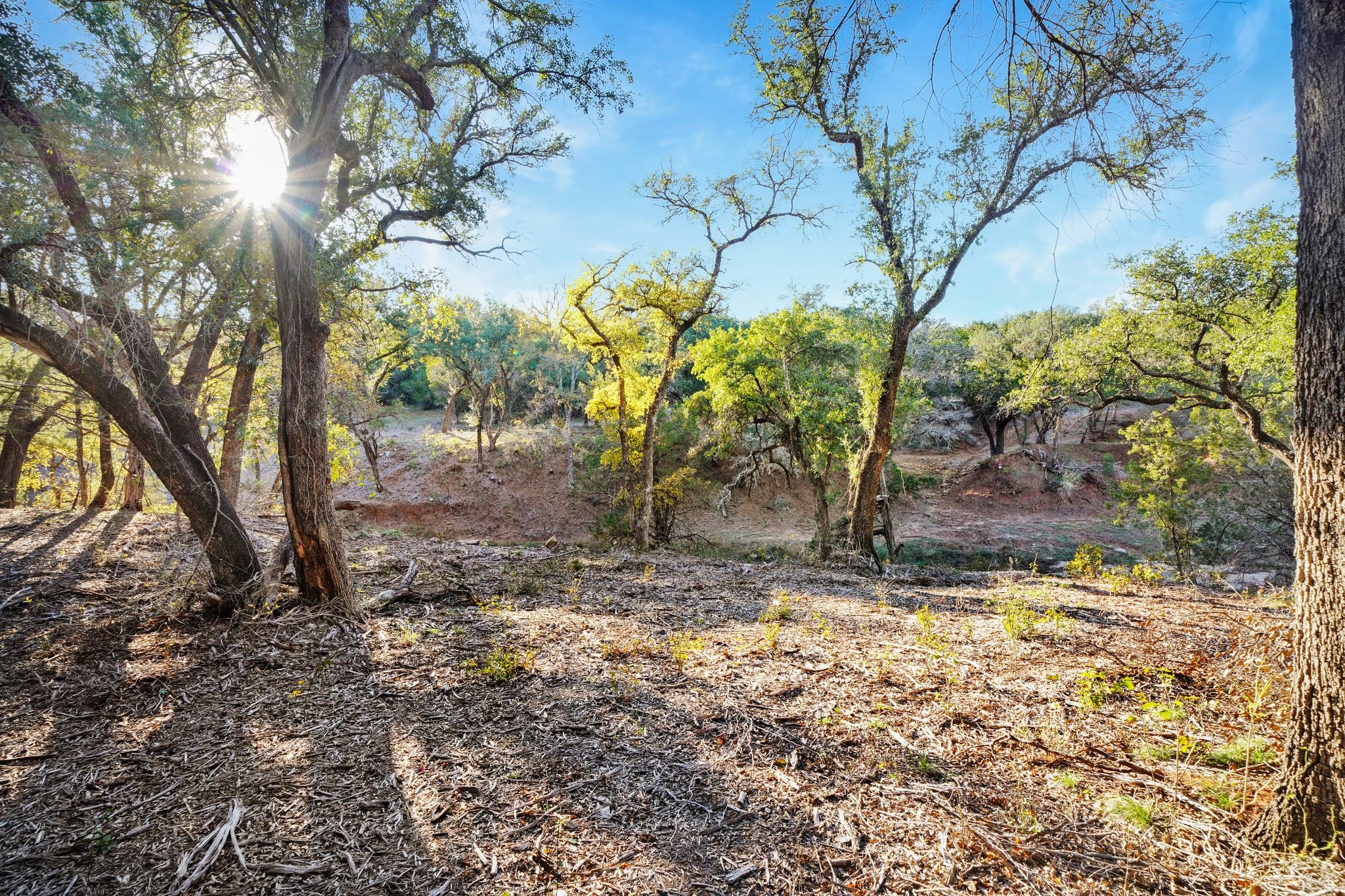 3061 Canyon Ranch Road Palo Pinto TX 76484