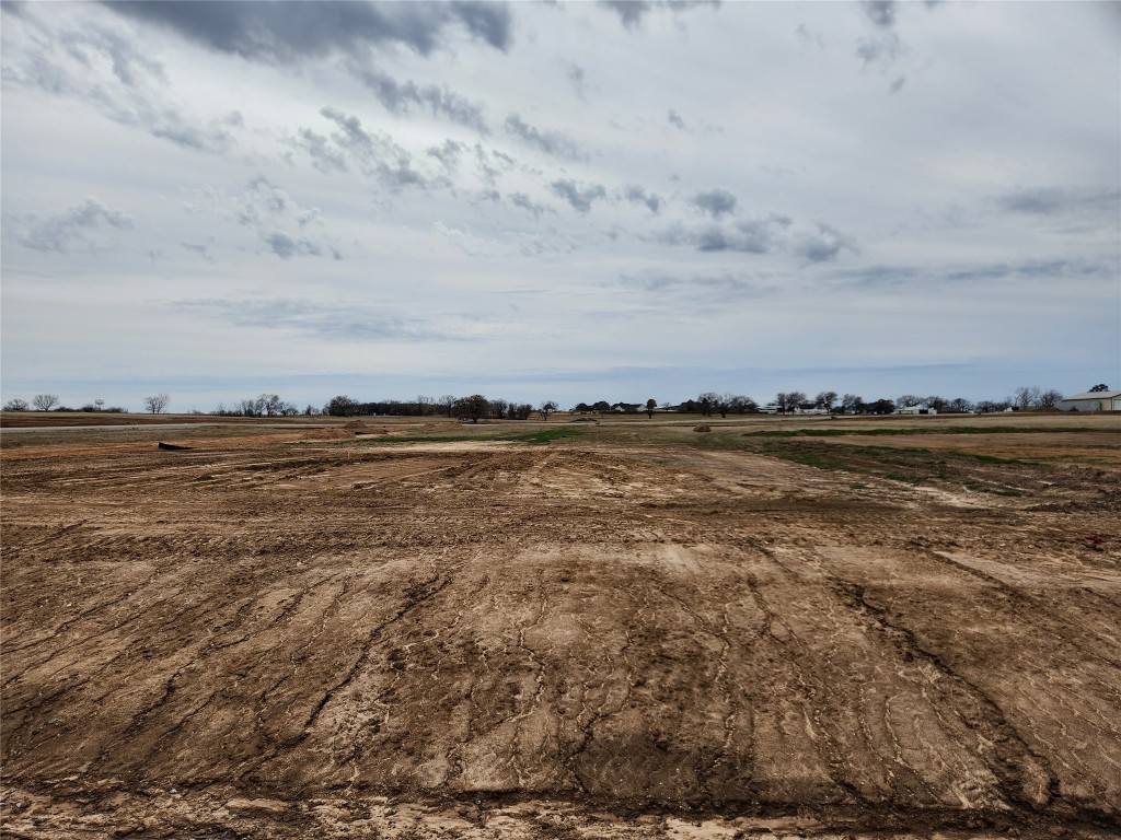 116 Trumpet Court Paradise TX 76073