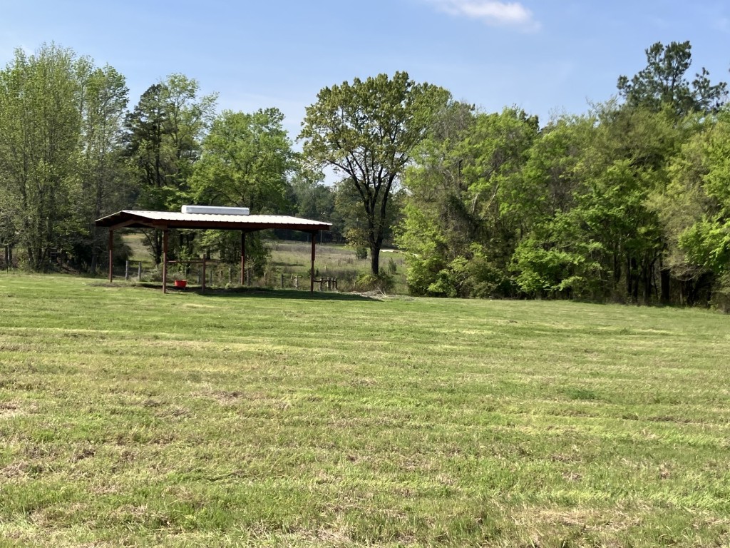 12746 Ridgeway Court Winona TX 75792