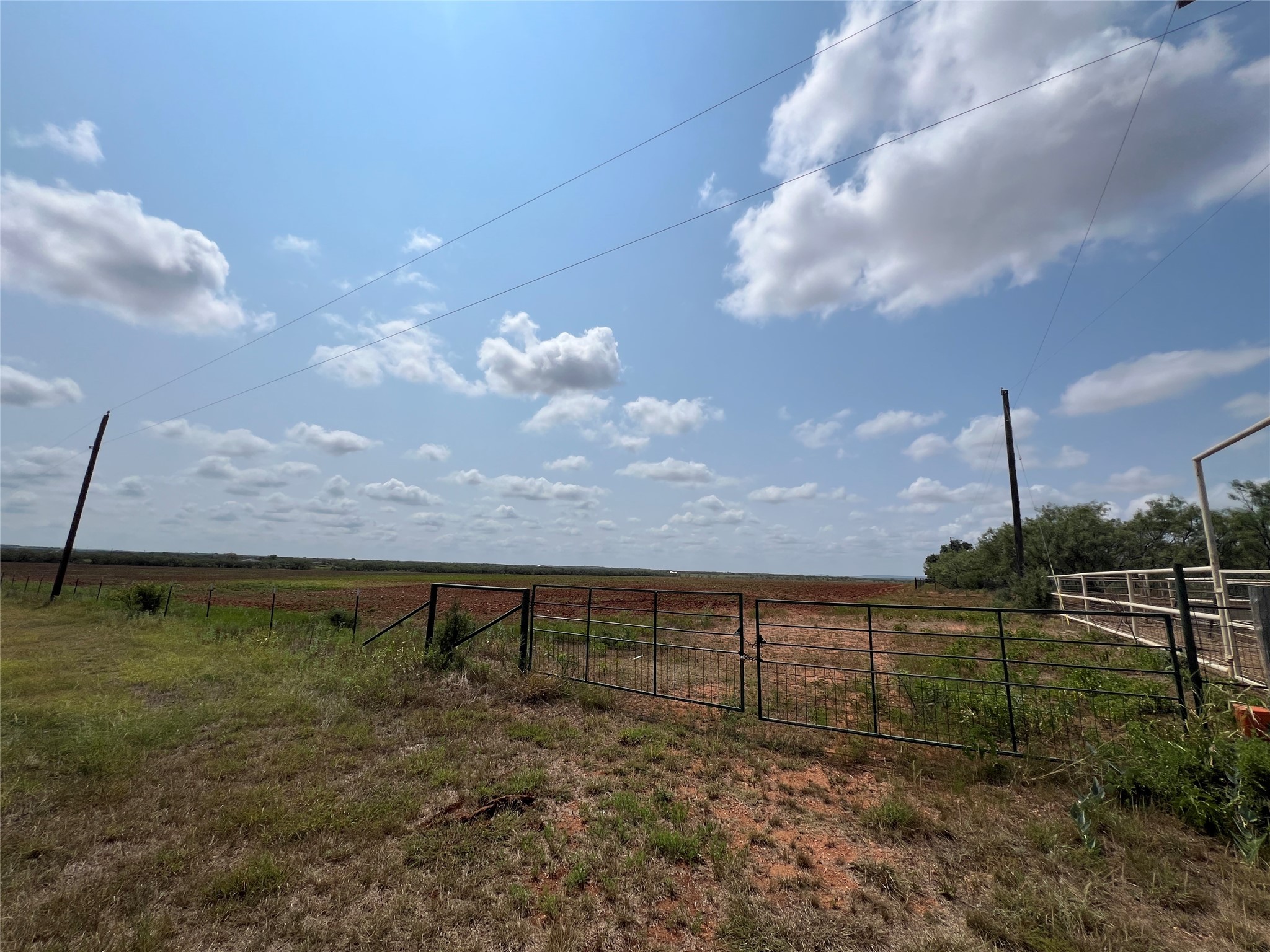 Tbd Fm 614 Ovalo TX 79541