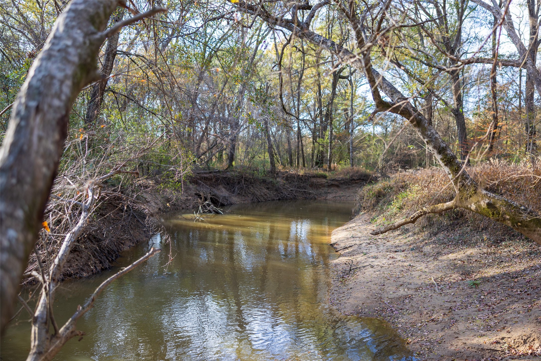 11398 County Road 4177 Laneville TX 75667