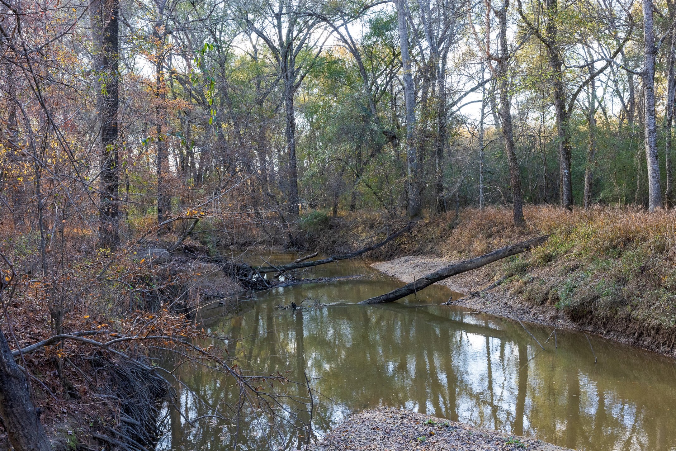 11398 County Road 4177 Laneville TX 75667
