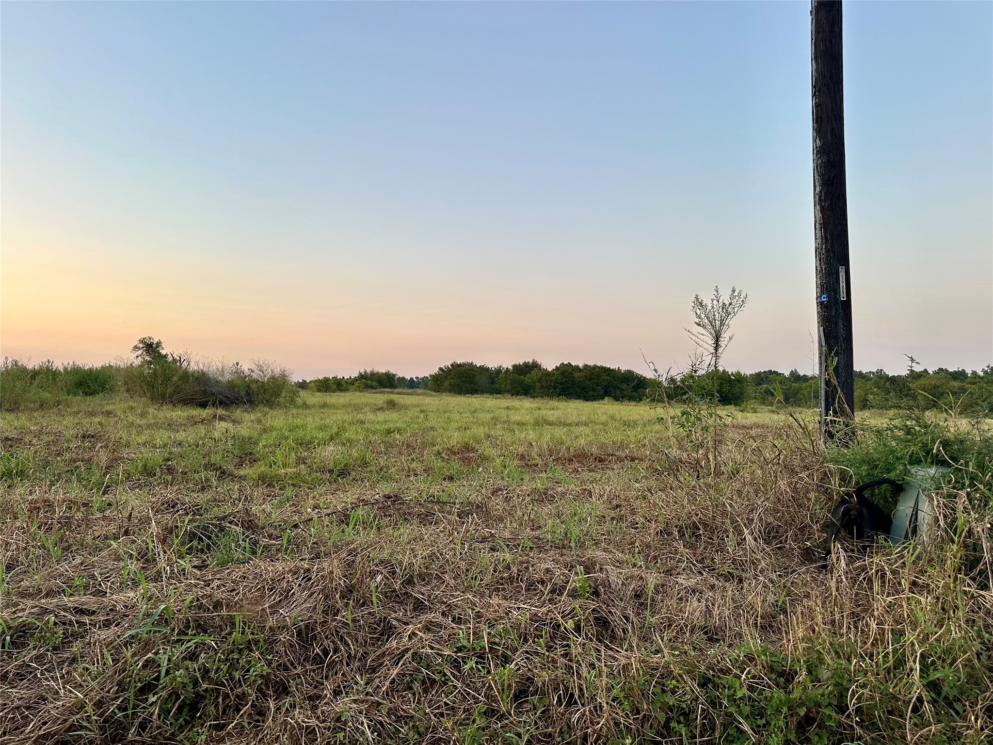 Tbd County Road 2174 Sulphur Springs TX 75482