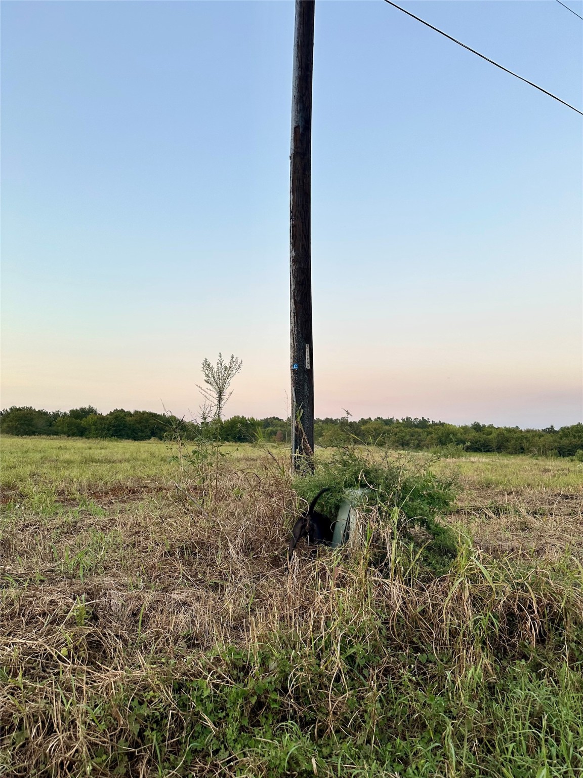 Tbd County Road 2174 Sulphur Springs TX 75482