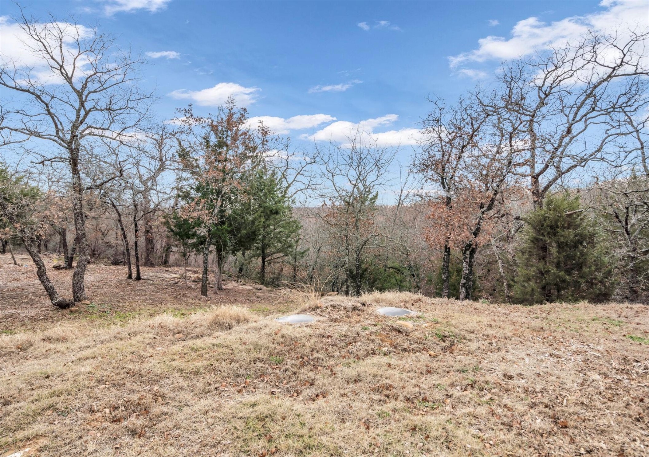 502 Silver Ridge Court Bowie TX 76230