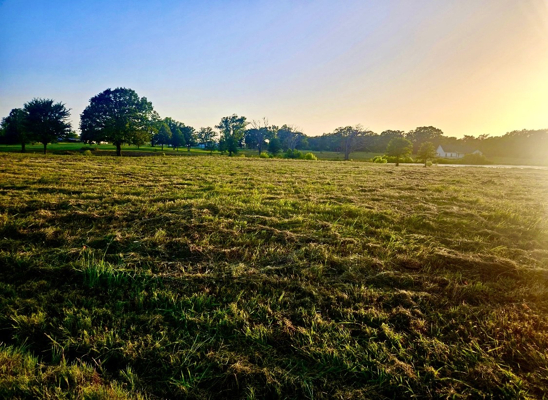 Lot 2 County Road 3541 Saltillo TX 75478