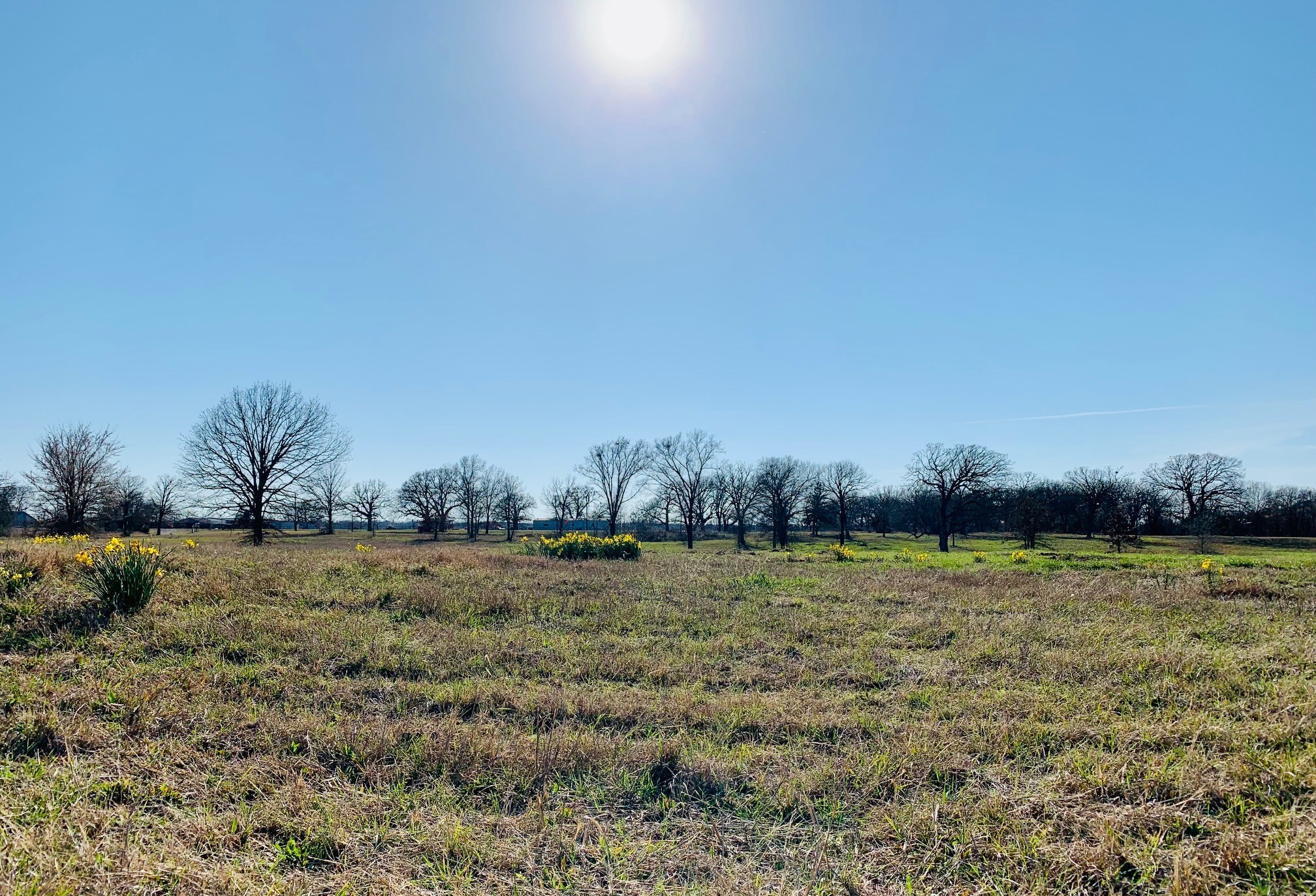 Lot 2 County Road 3541 Saltillo TX 75478