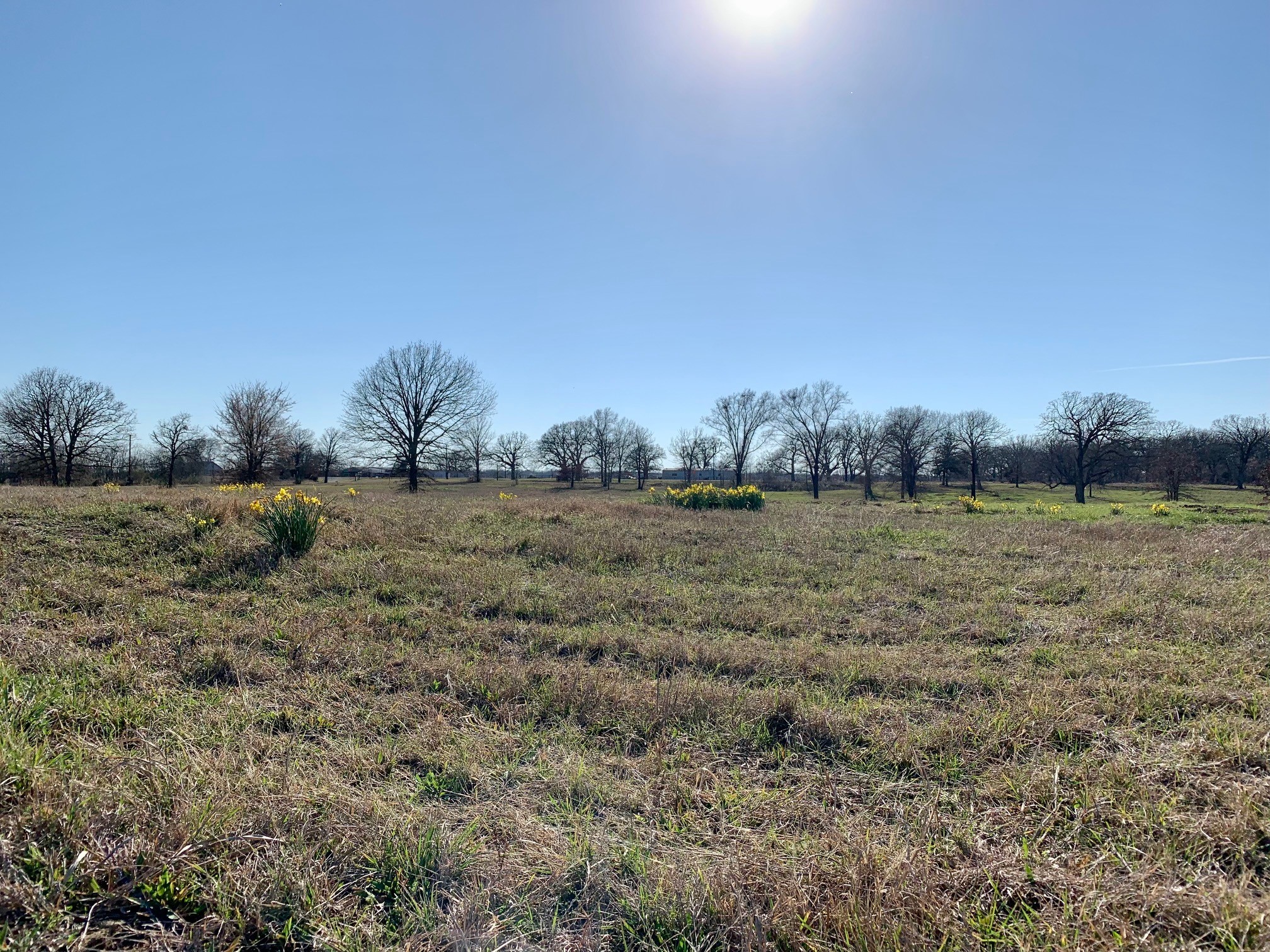 Lot 2 County Road 3541 Saltillo TX 75478