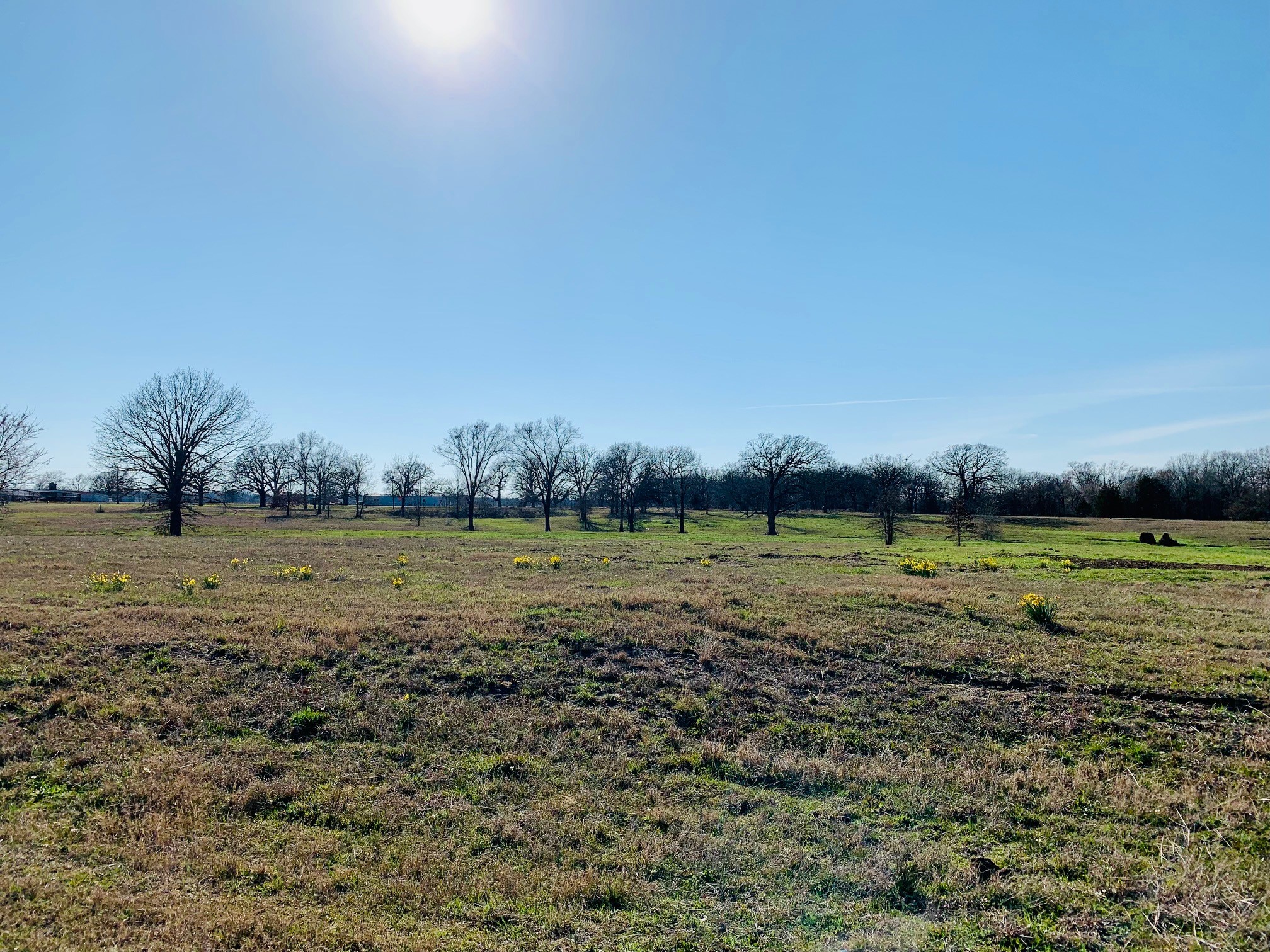 Lot 2 County Road 3541 Saltillo TX 75478
