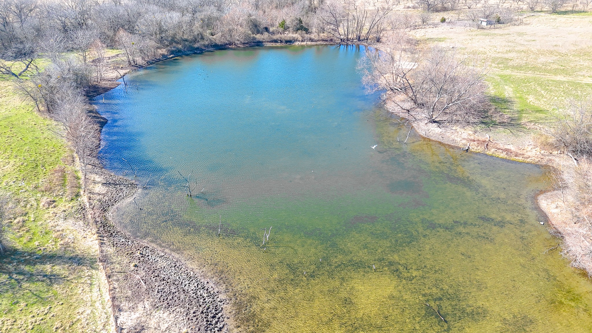 2355 County Road 2040 - 115.31 Acres Corsicana TX 75110
