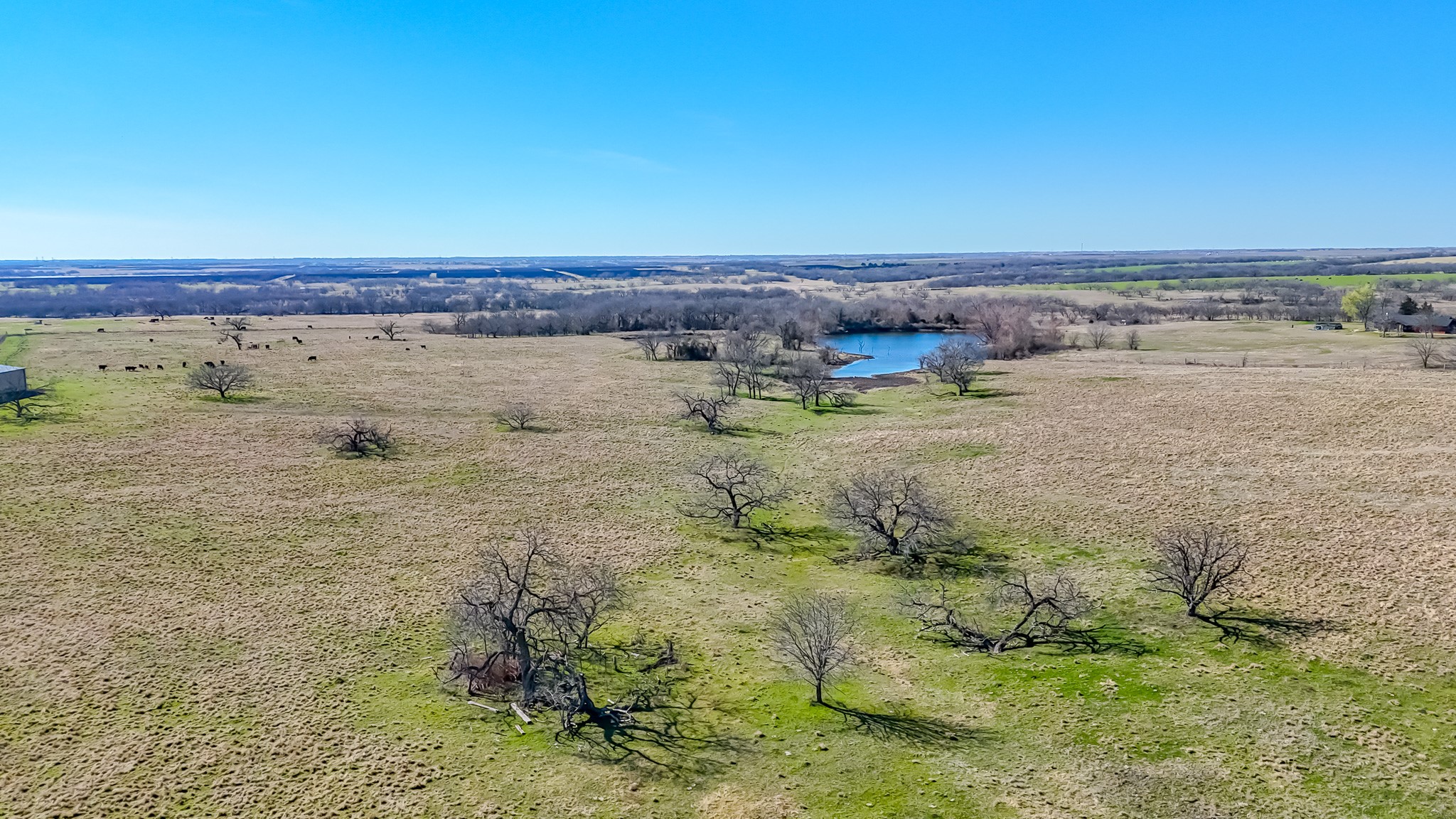 2355 County Road 2040 - 115.31 Acres Corsicana TX 75110