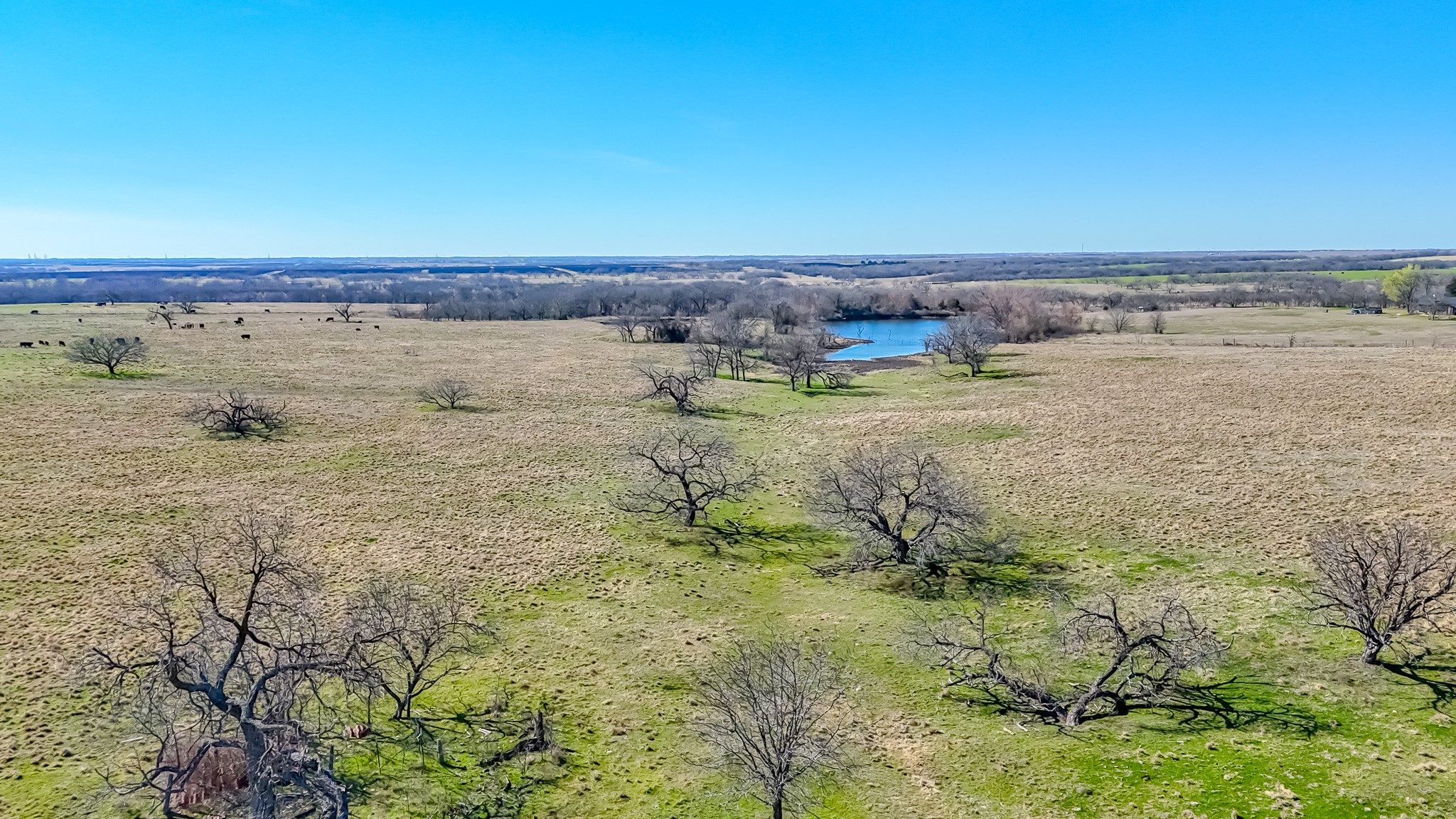2355 County Road 2040 - 115.31 Acres Corsicana TX 75110