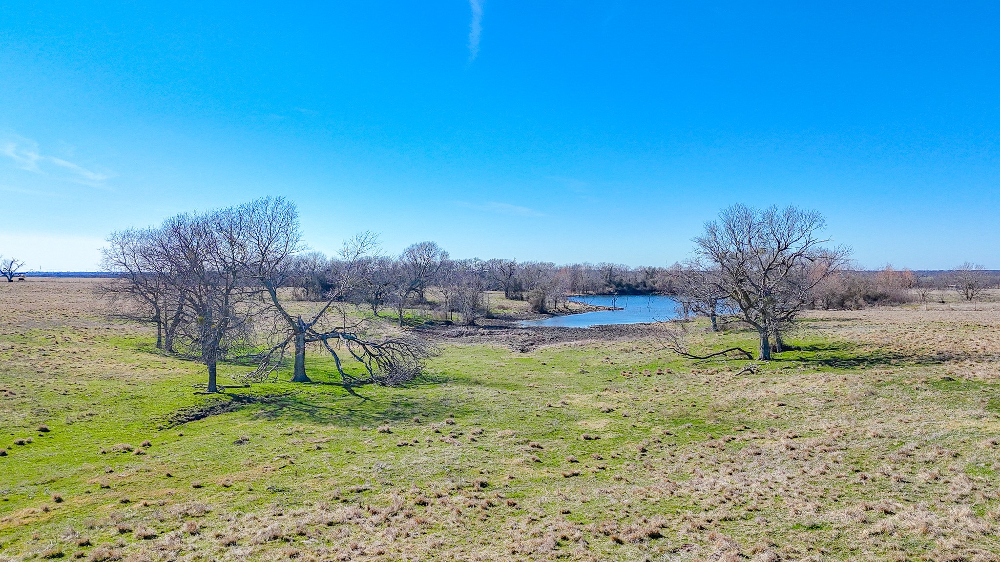 2355 County Road 2040 - 115.31 Acres Corsicana TX 75110