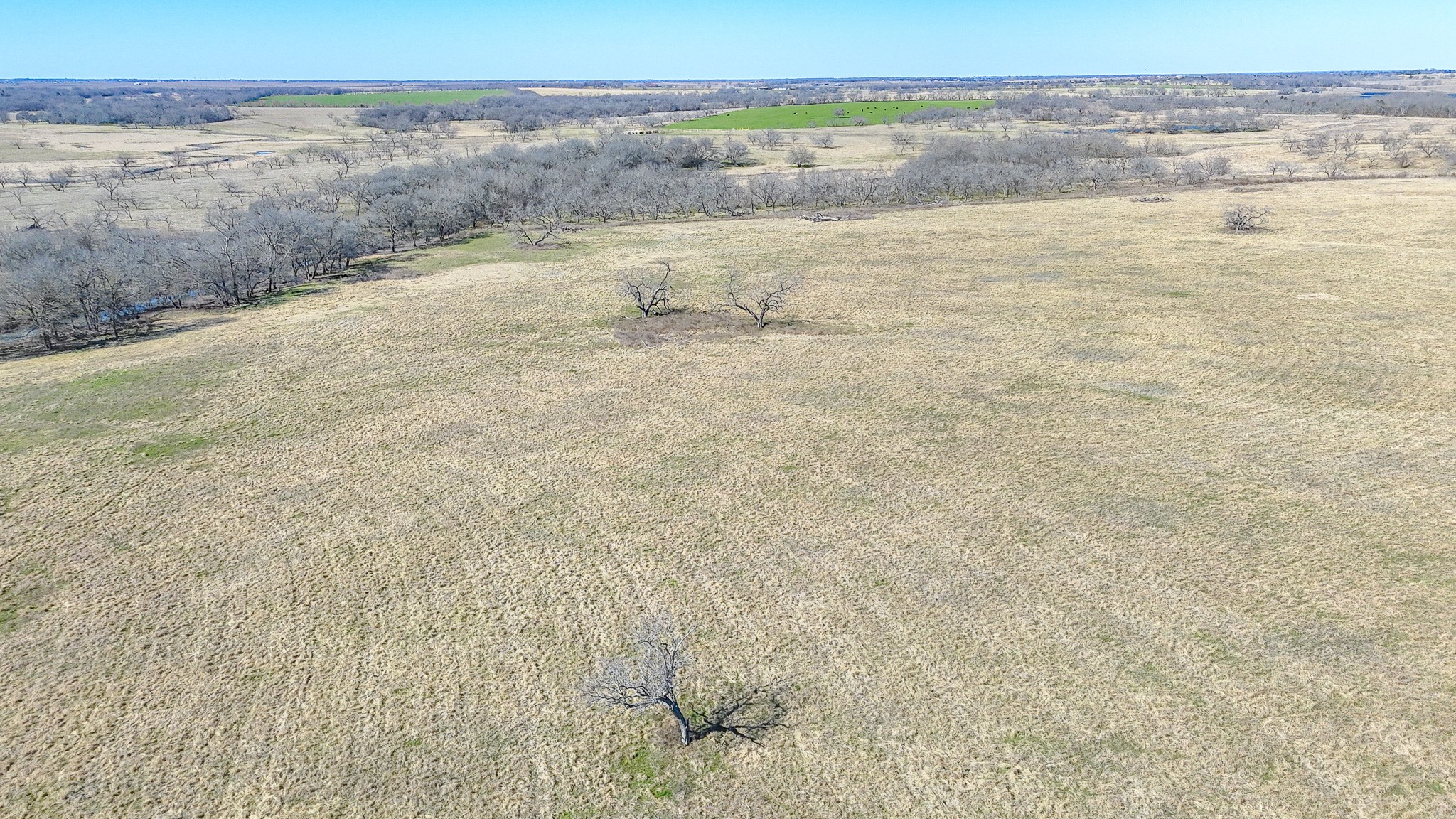 2355 County Road 2040 - 115.31 Acres Corsicana TX 75110