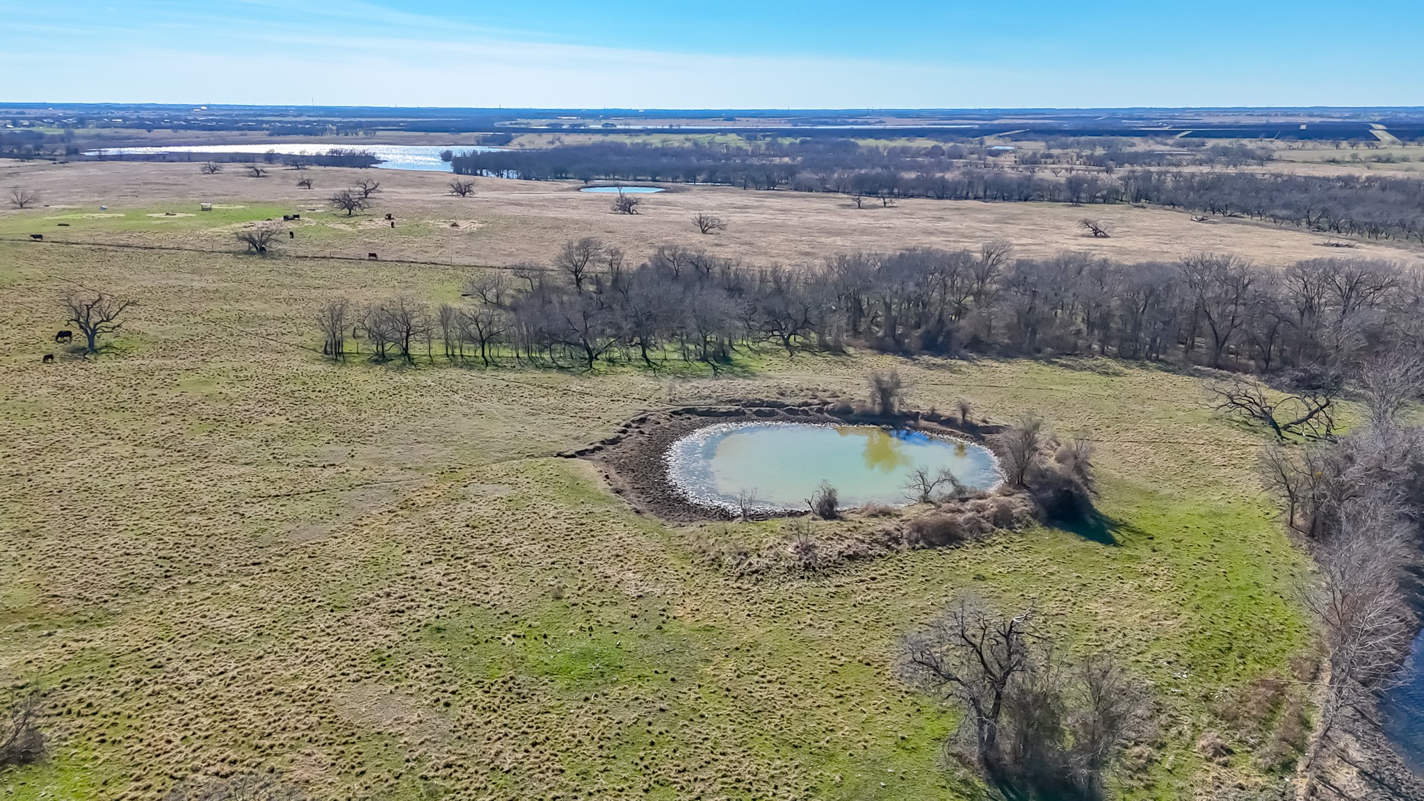 2355 County Road 2040 - 115.31 Acres Corsicana TX 75110
