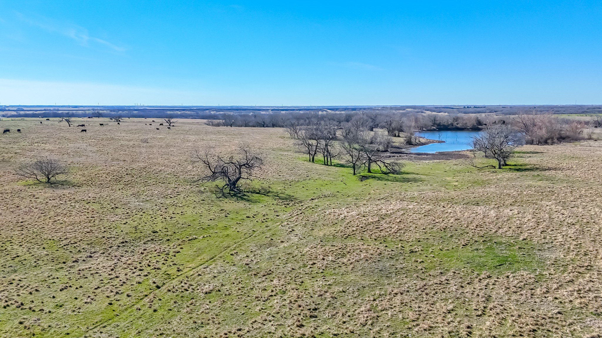 2355 County Road 2040 - 115.31 Acres Corsicana TX 75110