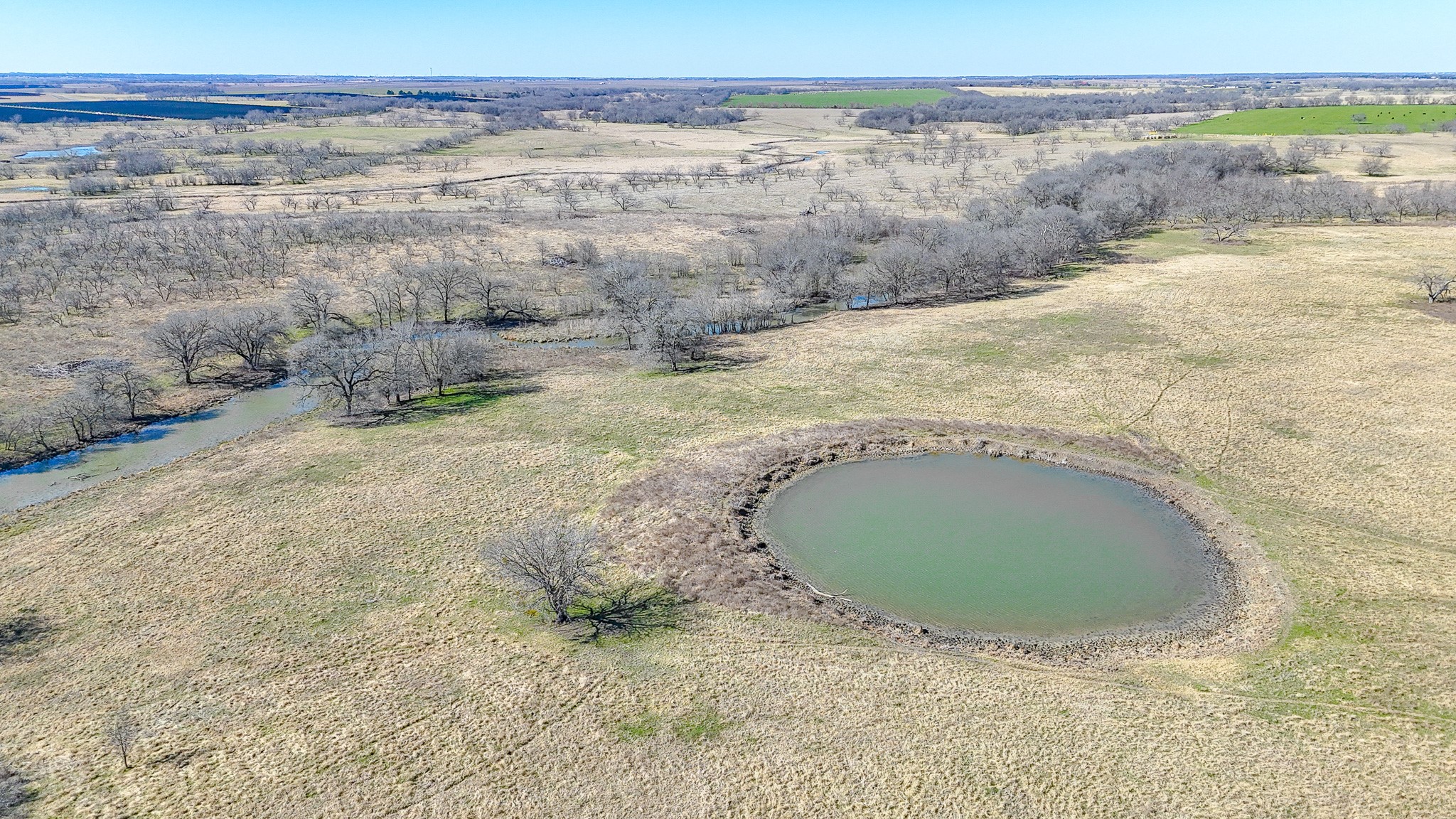 2355 County Road 2040 - 115.31 Acres Corsicana TX 75110
