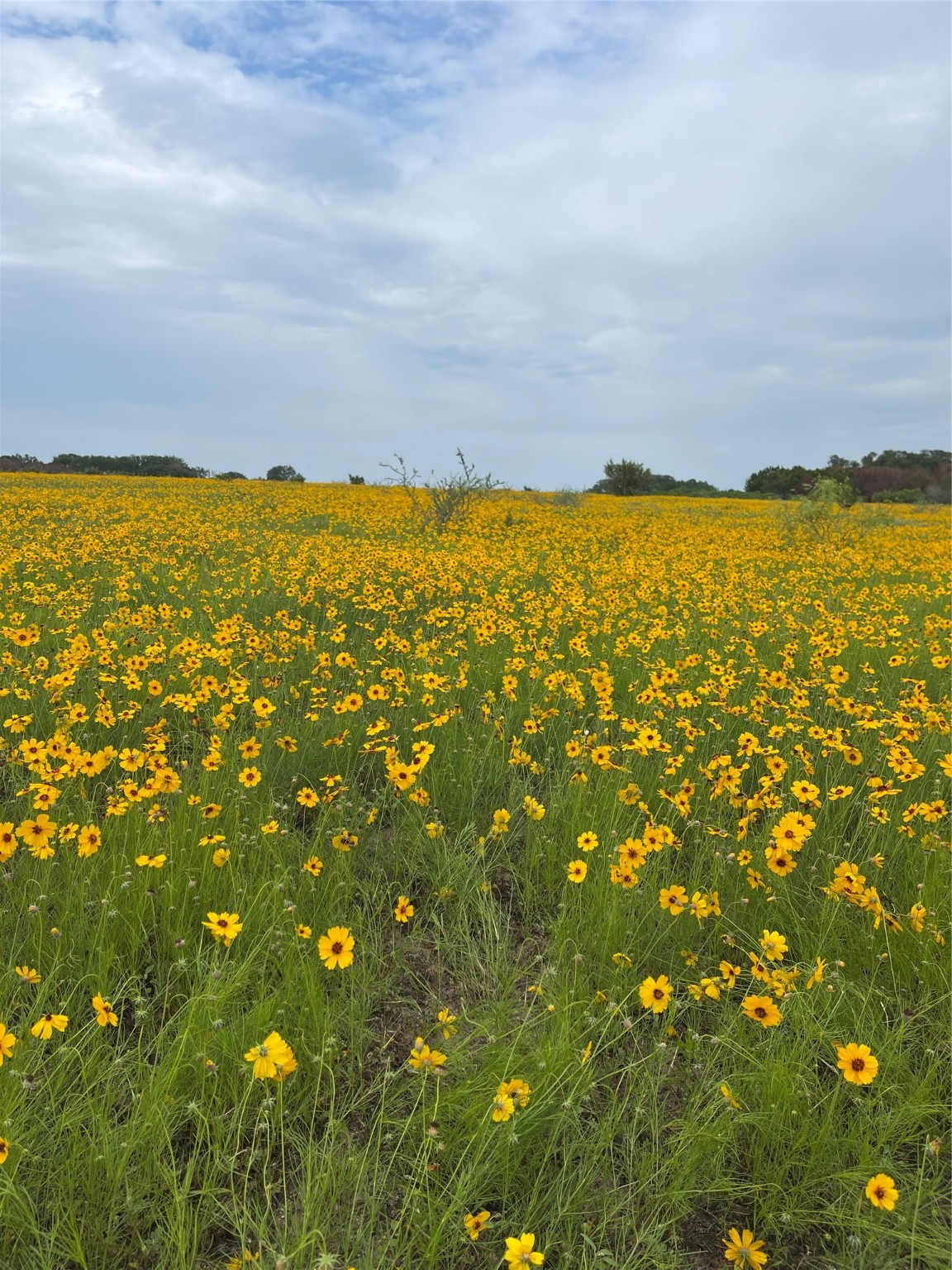 0000 Bison Ridge Drive Stephenville TX 76401