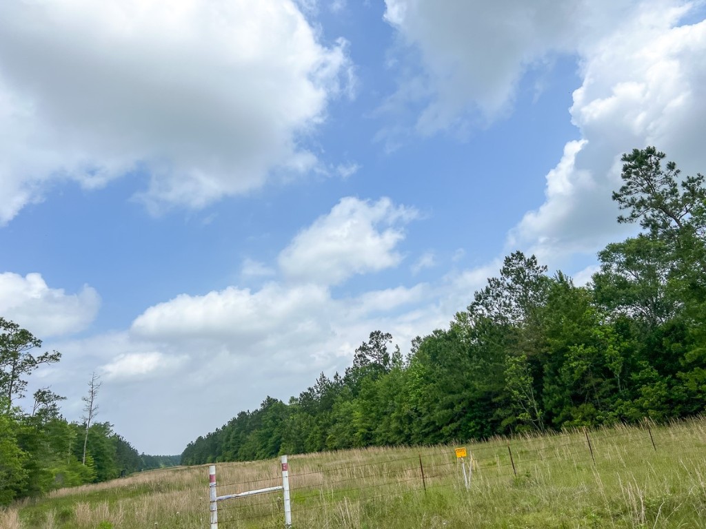 000000 Cravens Camp Road Silsbee TX 77656