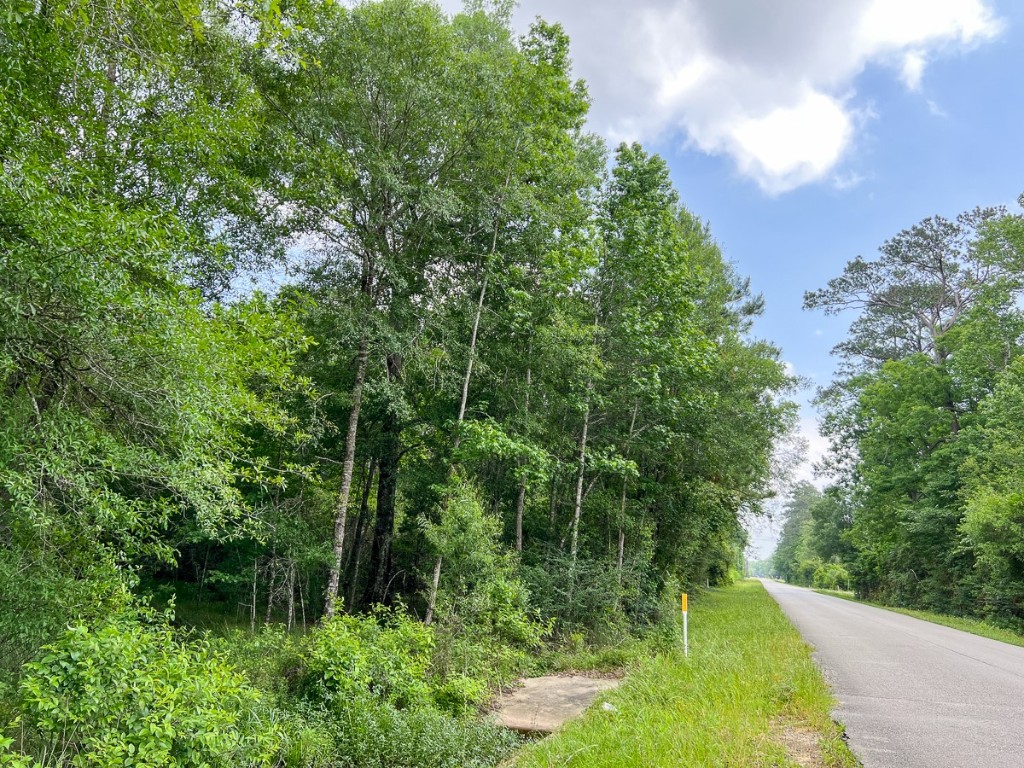 000000 Cravens Camp Road Silsbee TX 77656