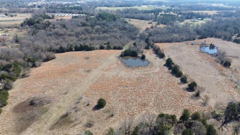 Lot 3 Rains Cr1140 Road Emory TX 75440