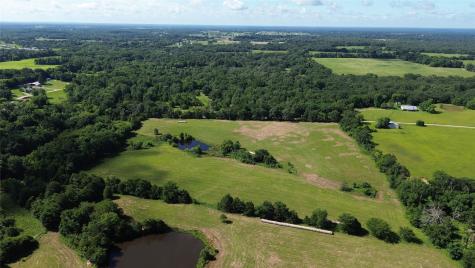 Lot 3 Rains Cr1140 Road Emory TX 75440