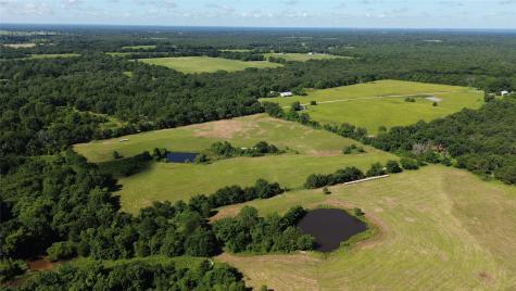 Lot 3 Rains Cr1140 Road Emory TX 75440