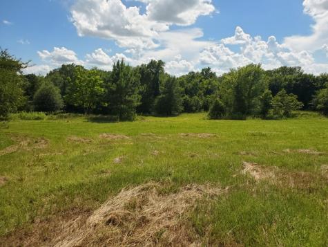 Lot 3 Rains Cr1140 Road Emory TX 75440