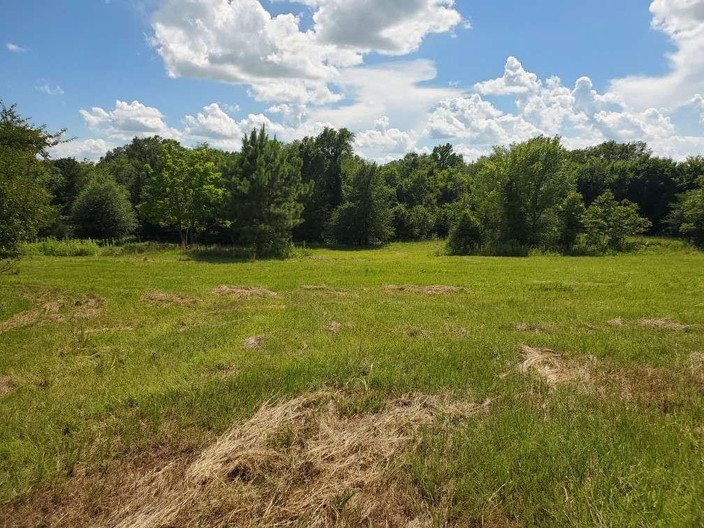 Lot 3 Rains Cr1140 Road Emory TX 75440
