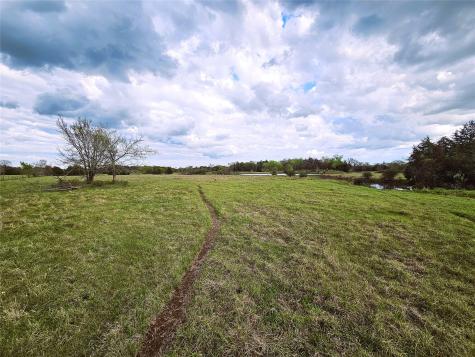 55.76 Acres Fm-3371 Groesbeck TX 76642