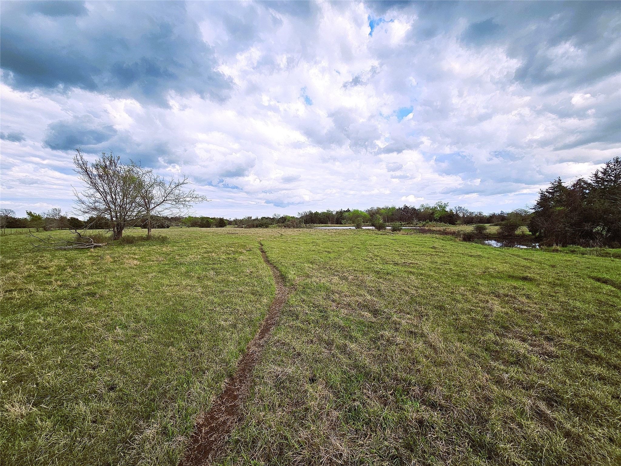 55.76 Acres Fm-3371 Groesbeck TX 76642