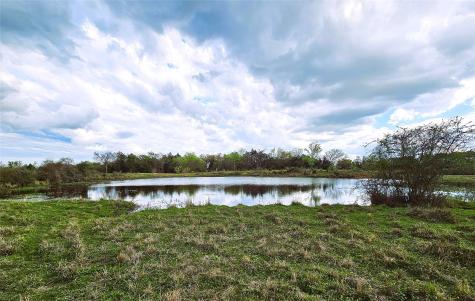 55.76 Acres Fm-3371 Groesbeck TX 76642