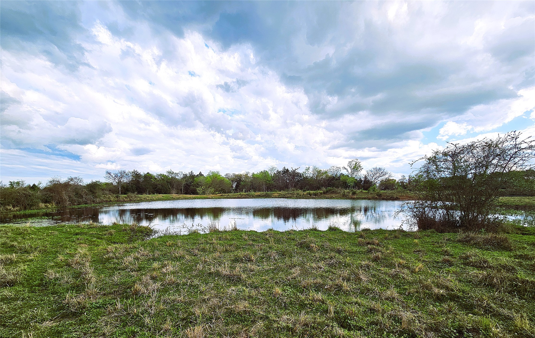 55.76 Acres Fm-3371 Groesbeck TX 76642