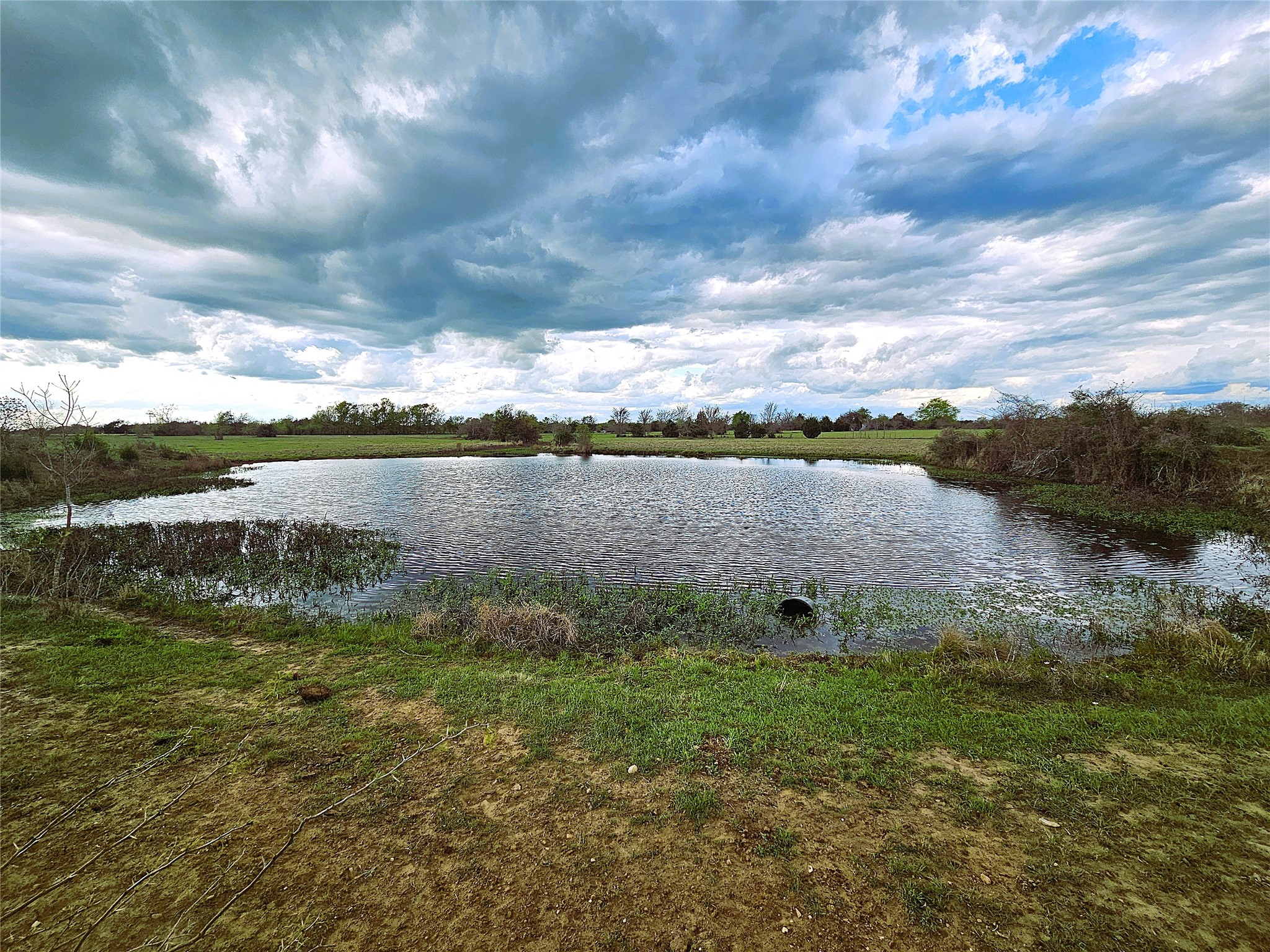 55.76 Acres Fm-3371 Groesbeck TX 76642