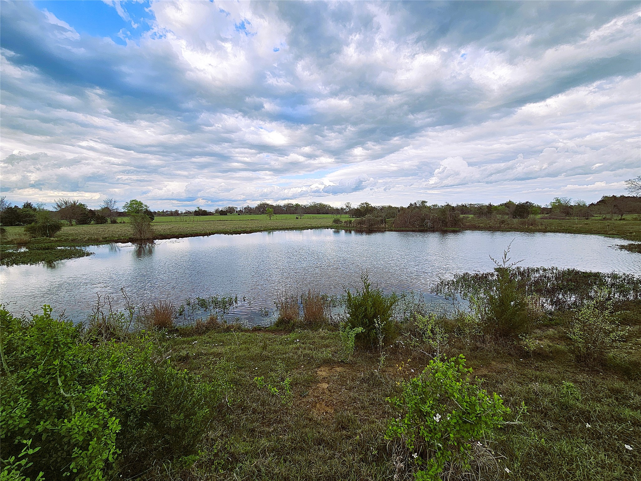 55.76 Acres Fm-3371 Groesbeck TX 76642
