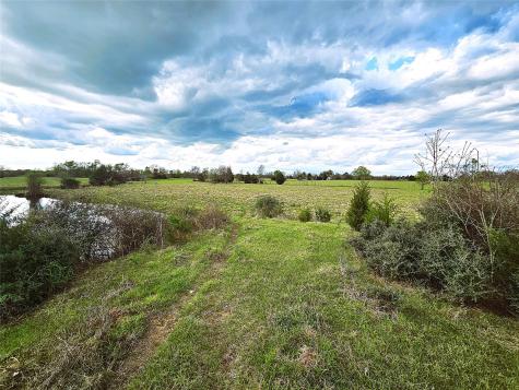 55.76 Acres Fm-3371 Groesbeck TX 76642