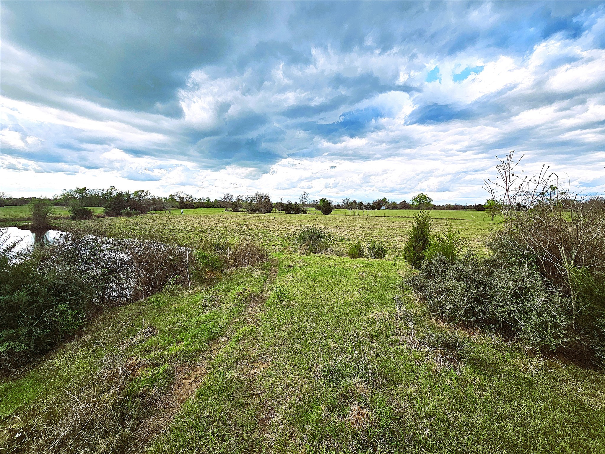 55.76 Acres Fm-3371 Groesbeck TX 76642