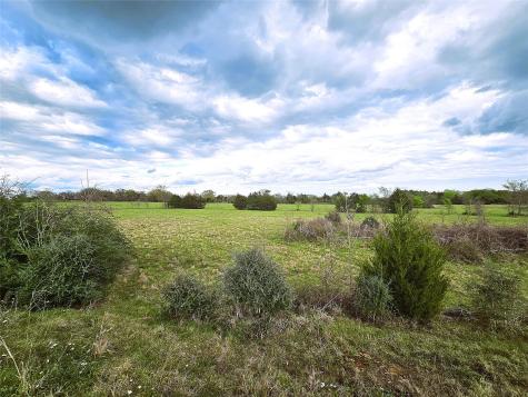55.76 Acres Fm-3371 Groesbeck TX 76642
