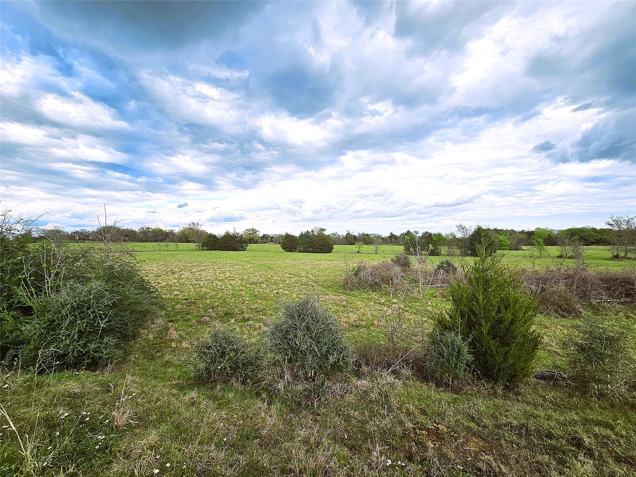 55.76 Acres Fm-3371 Groesbeck TX 76642