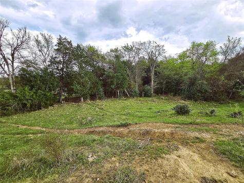 55.76 Acres Fm-3371 Groesbeck TX 76642