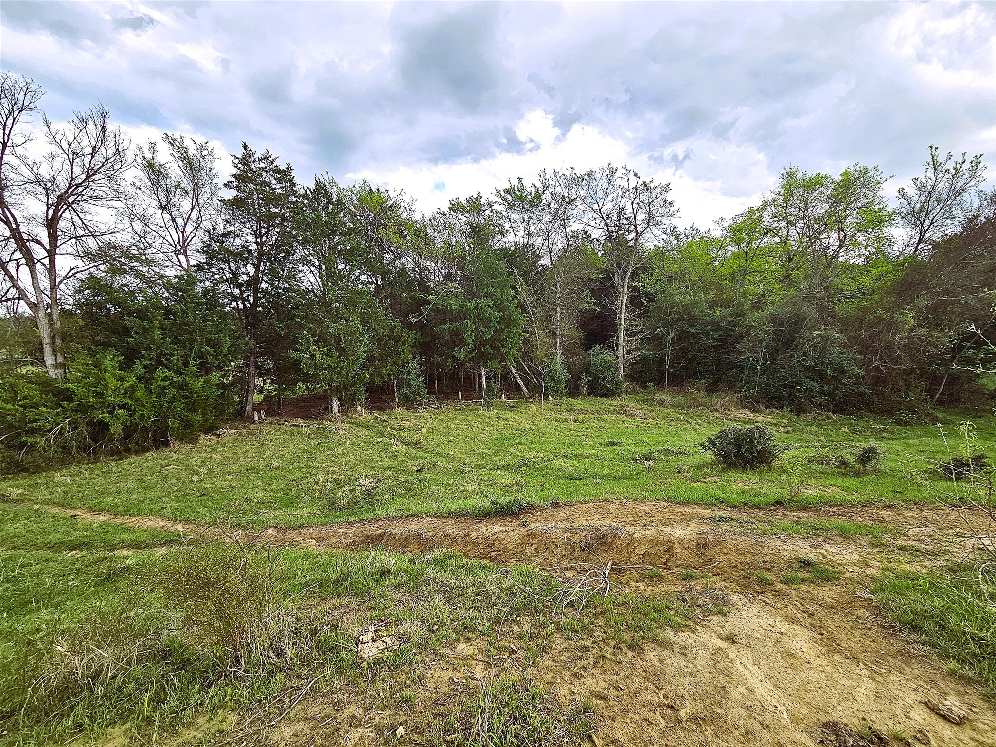 55.76 Acres Fm-3371 Groesbeck TX 76642