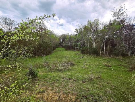 55.76 Acres Fm-3371 Groesbeck TX 76642
