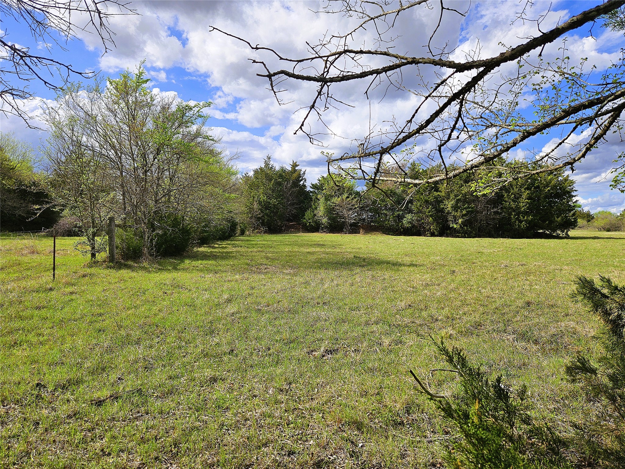 55.76 Acres Fm-3371 Groesbeck TX 76642