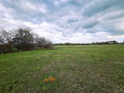 55.76 Acres Fm-3371 Groesbeck TX 76642