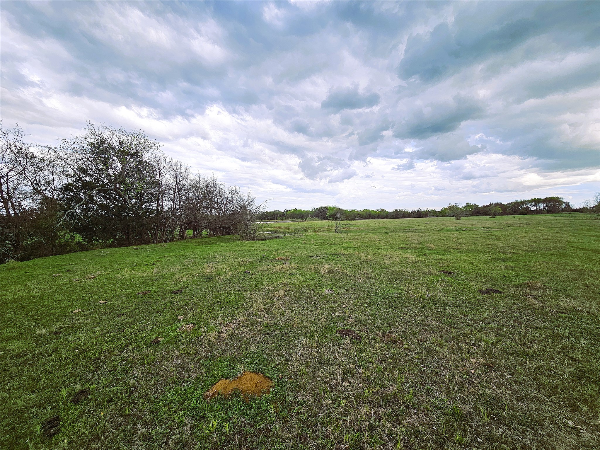 55.76 Acres Fm-3371 Groesbeck TX 76642
