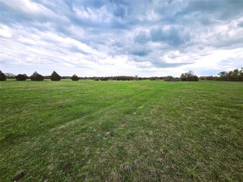 55.76 Acres Fm-3371 Groesbeck TX 76642