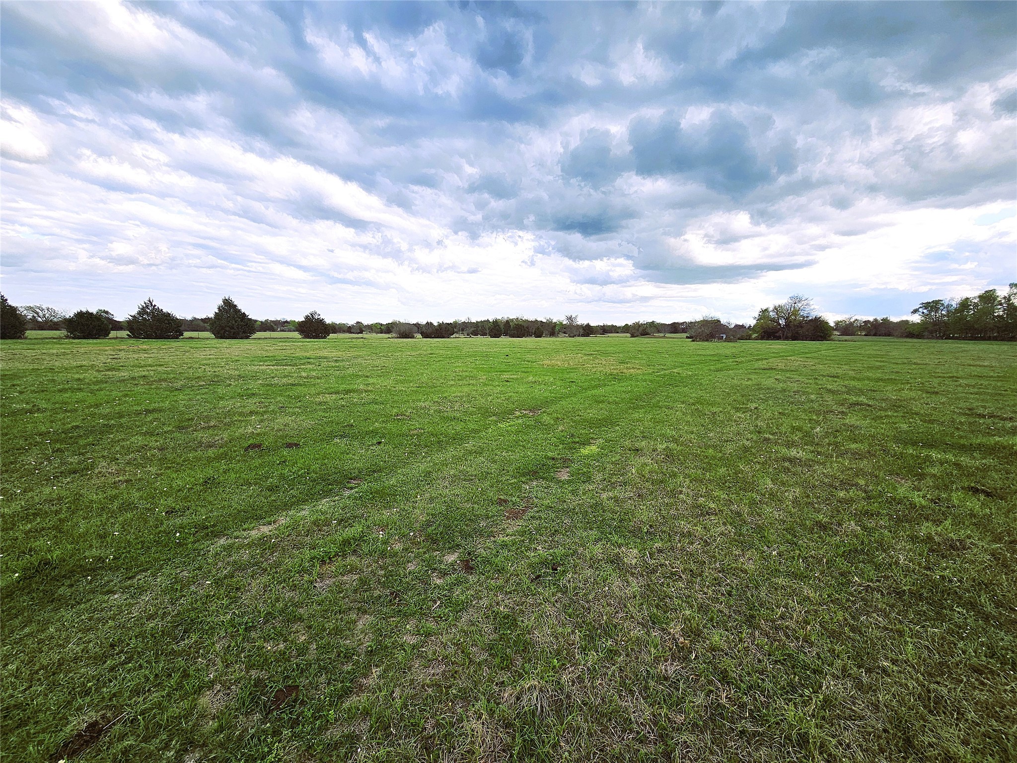 55.76 Acres Fm-3371 Groesbeck TX 76642