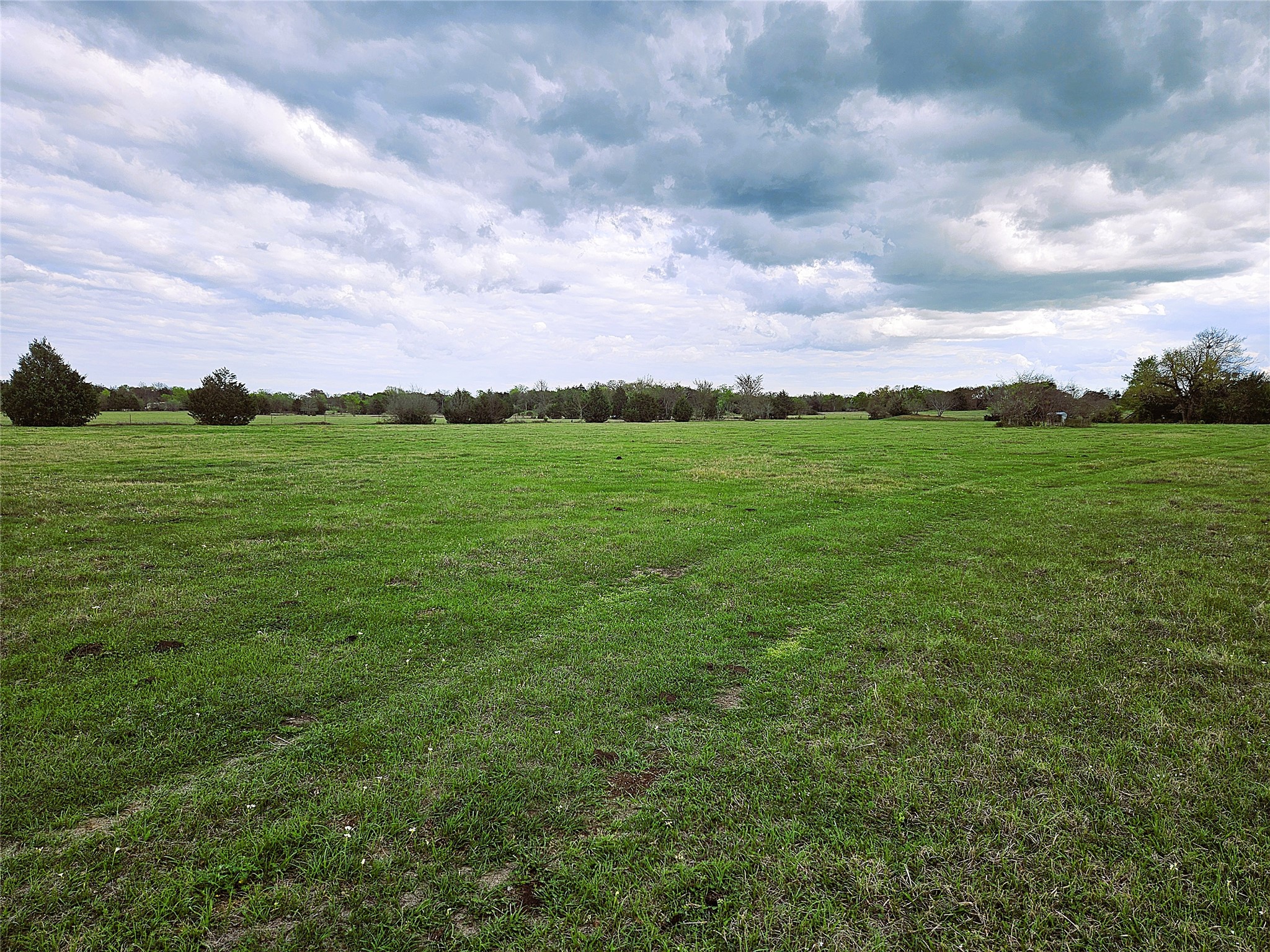 55.76 Acres Fm-3371 Groesbeck TX 76642